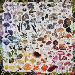eeBoo 1000 Piece Puzzle Mushroom Rainbow
