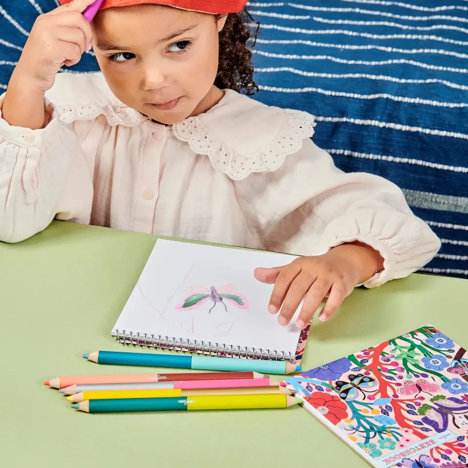 eeBoo Jumbo Double-Sided Color Pencils Butterflies