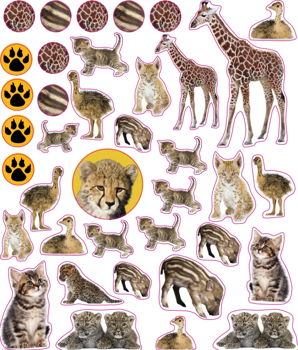 EyeLike Stickers: Baby Animals