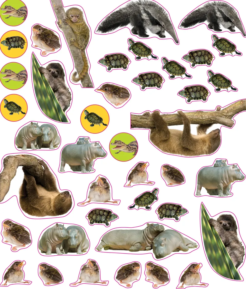 EyeLike Stickers: Baby Animals