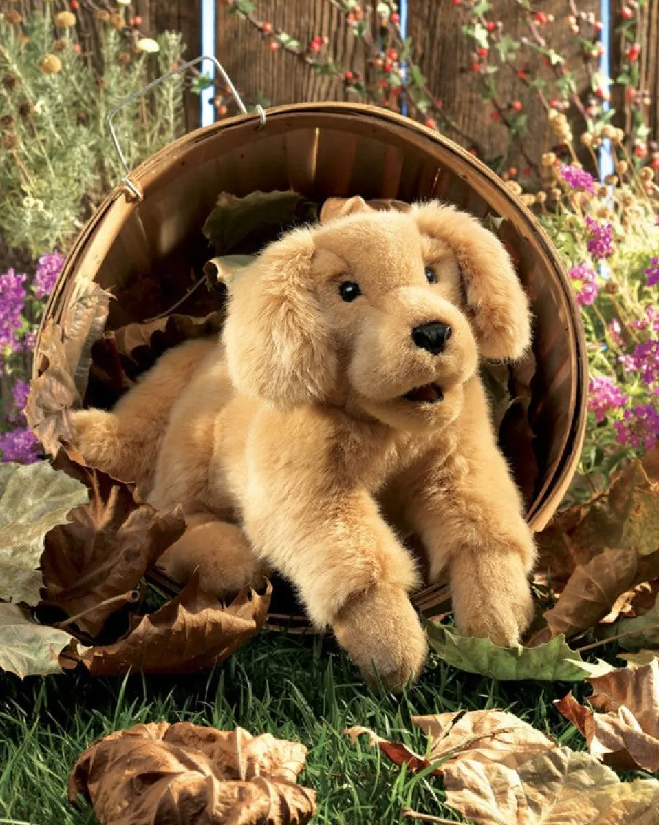 Folkmanis® Hand Puppet: Golden Retriever Puppy