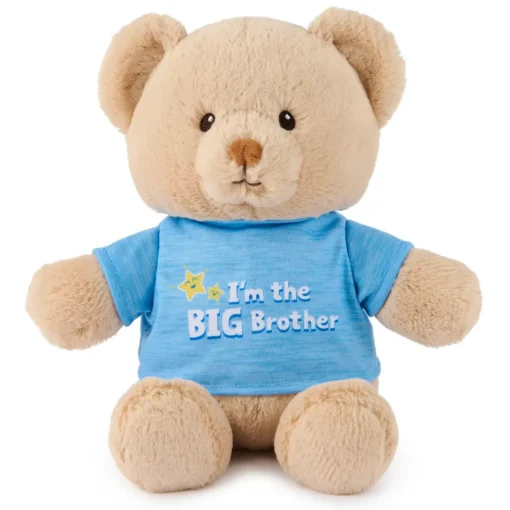 GUND "I'm the Big Brother Bear" Blue 12"