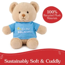 GUND "I'm the Big Brother Bear" Blue 12"