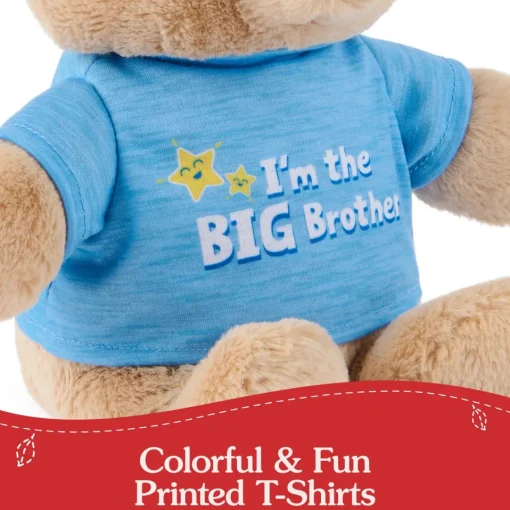 GUND "I'm the Big Brother Bear" Blue 12"