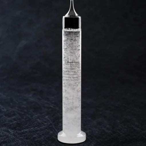 Heebie Jeebies Fitzroy's Storm Glass 11"