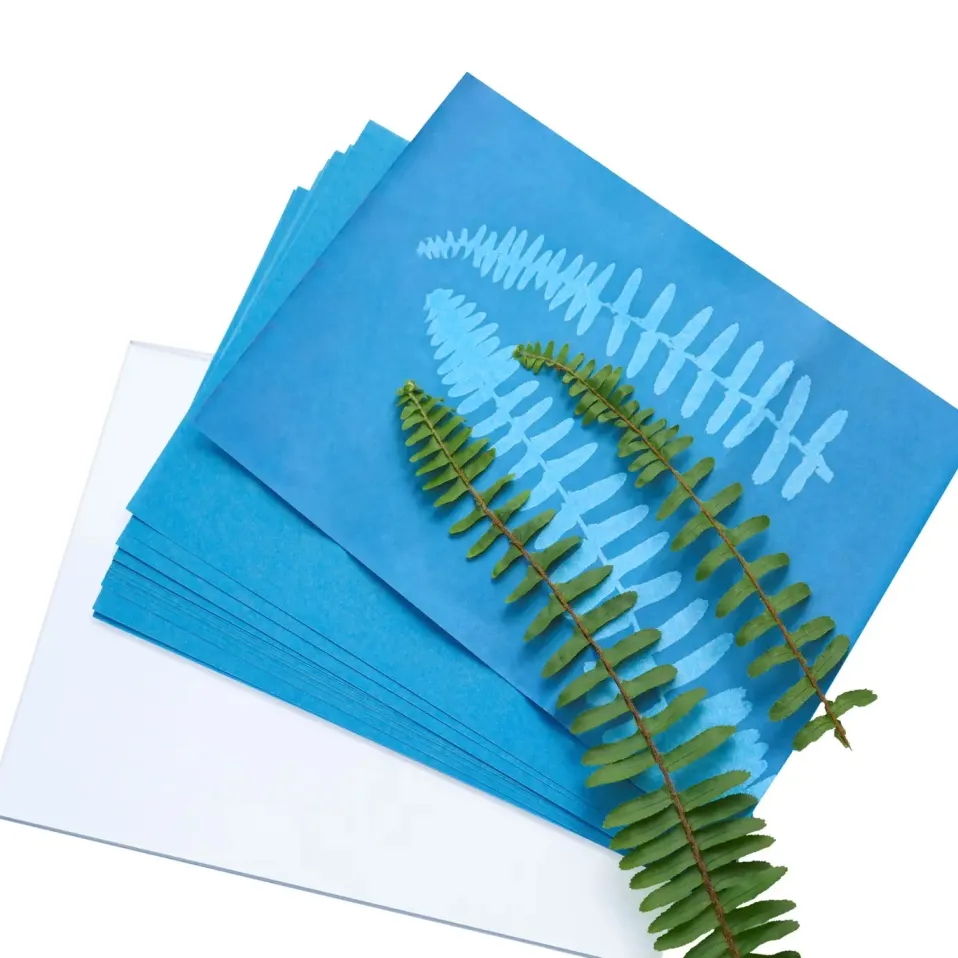 Heebie Jeebies Herschel Solar Print 12"