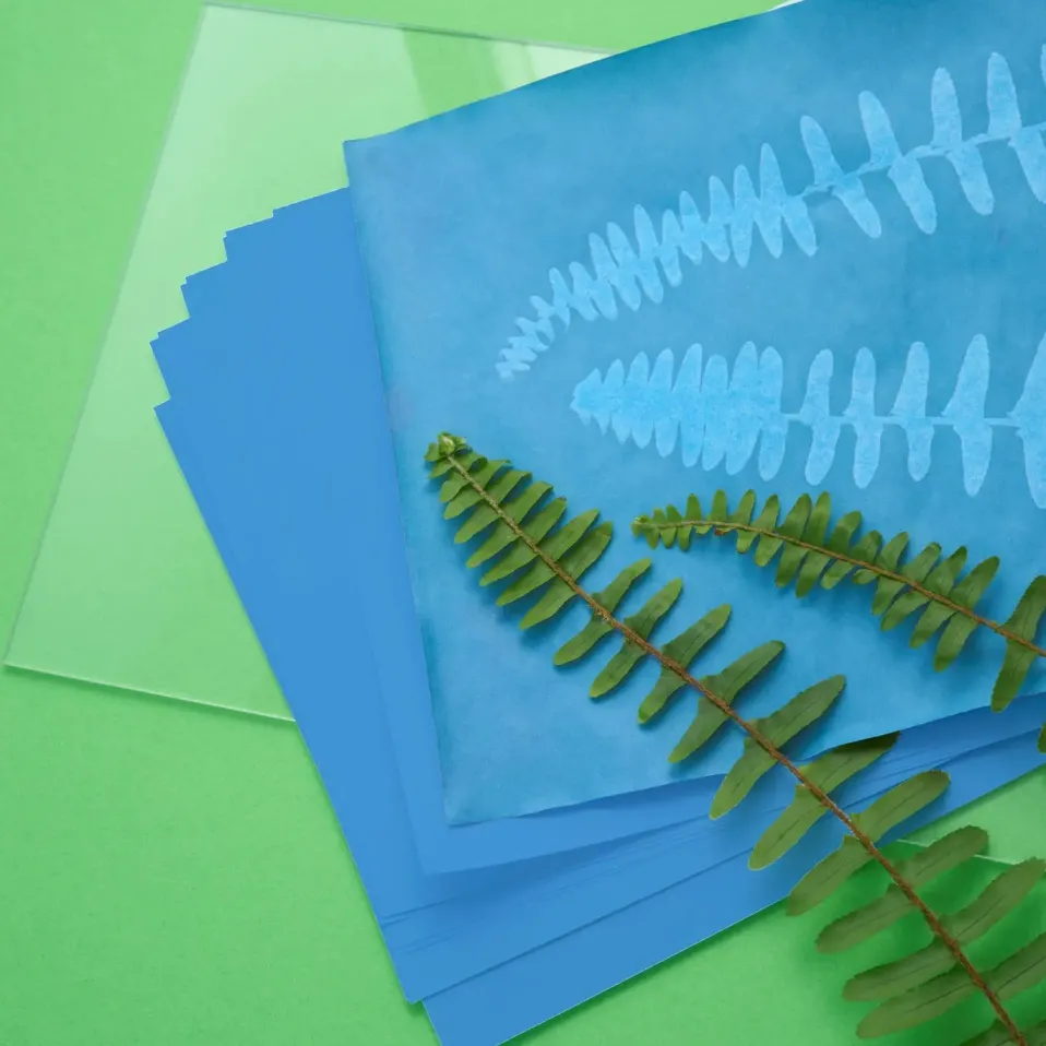 Heebie Jeebies Herschel Solar Print 12"