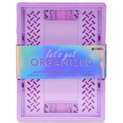 iScream® Large Foldable Storage Crate