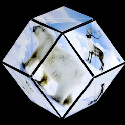 Shashibo Animal Series: Arctic