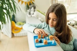 Smart Games & Toys Cats & Boxes