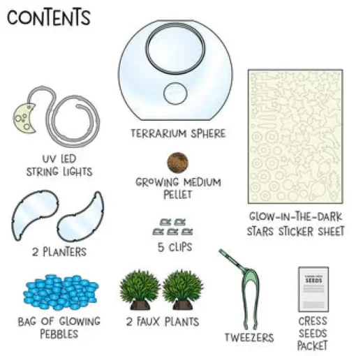 Thames & Kosmos Wow in the World: Light-Up Terrarium